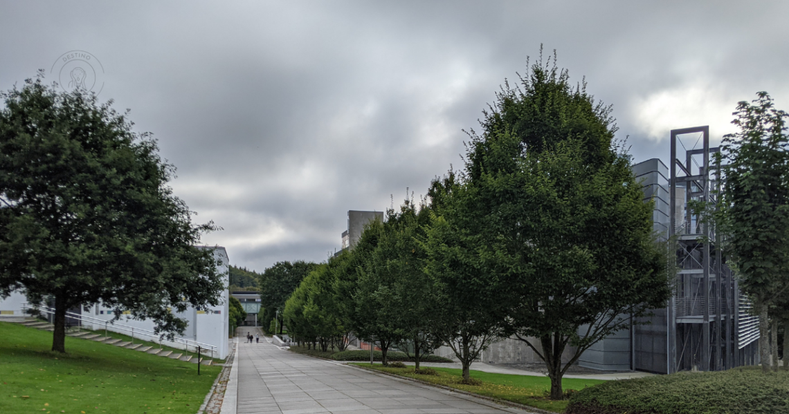 Campus da Universidade cheio de árvores